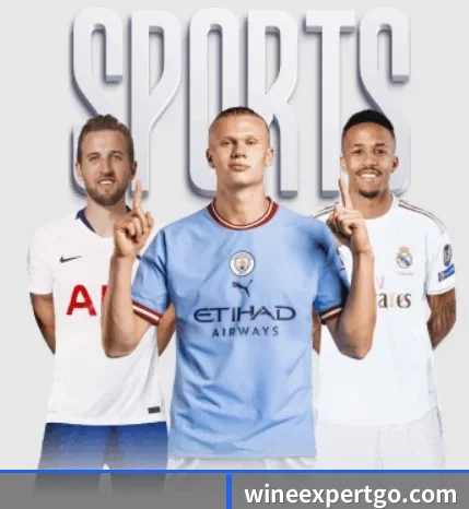 平台简介 - 体育资讯内容服务 | mksportsapp