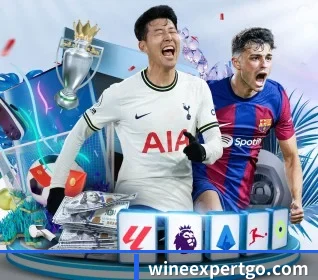 每个板块围绕一个运动项目展开 - mksportsapp